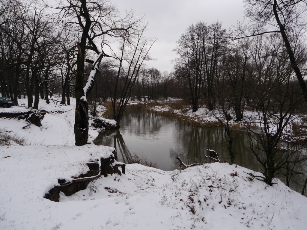 P1170647.JPG