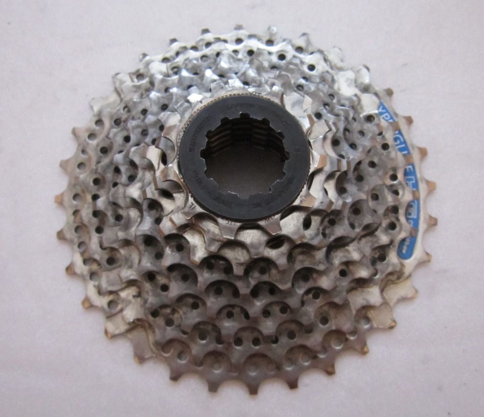 2175702554[1].jpg