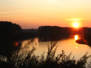 IMG_0857.JPG