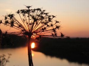 IMG_0859.JPG