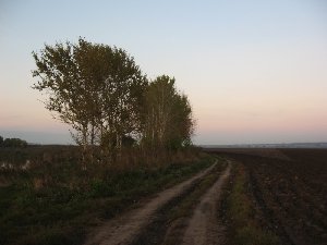 IMG_0879.JPG
