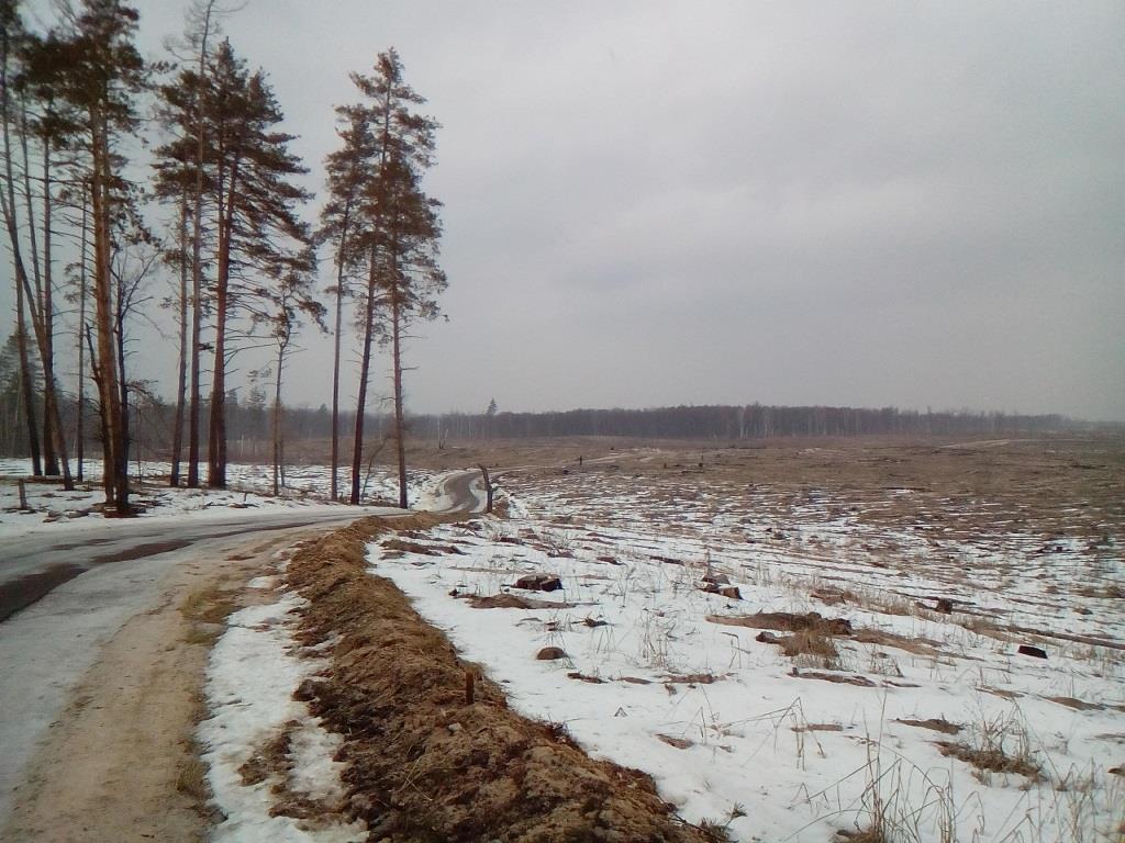 IMG_20160222_122114.jpg