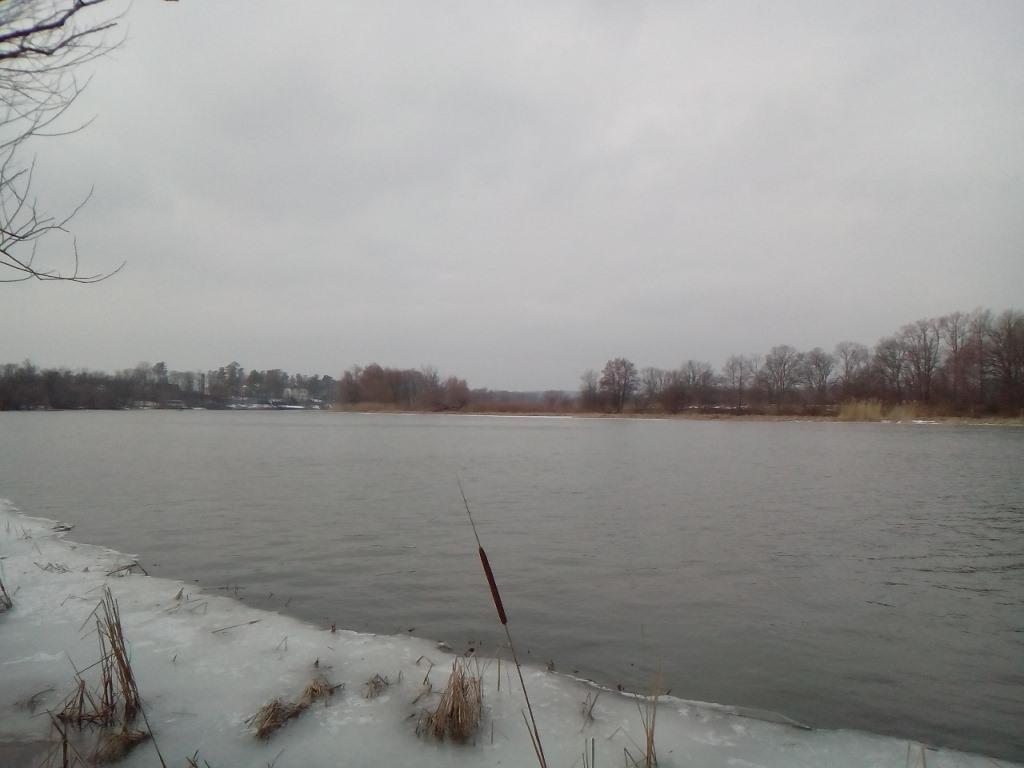 IMG_20160222_112503_1CS.jpg