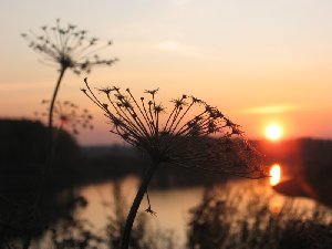 IMG_0861.JPG