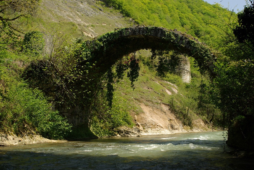 1370549701-449733071af3aa26e6f6d5bc39957146[1].jpg