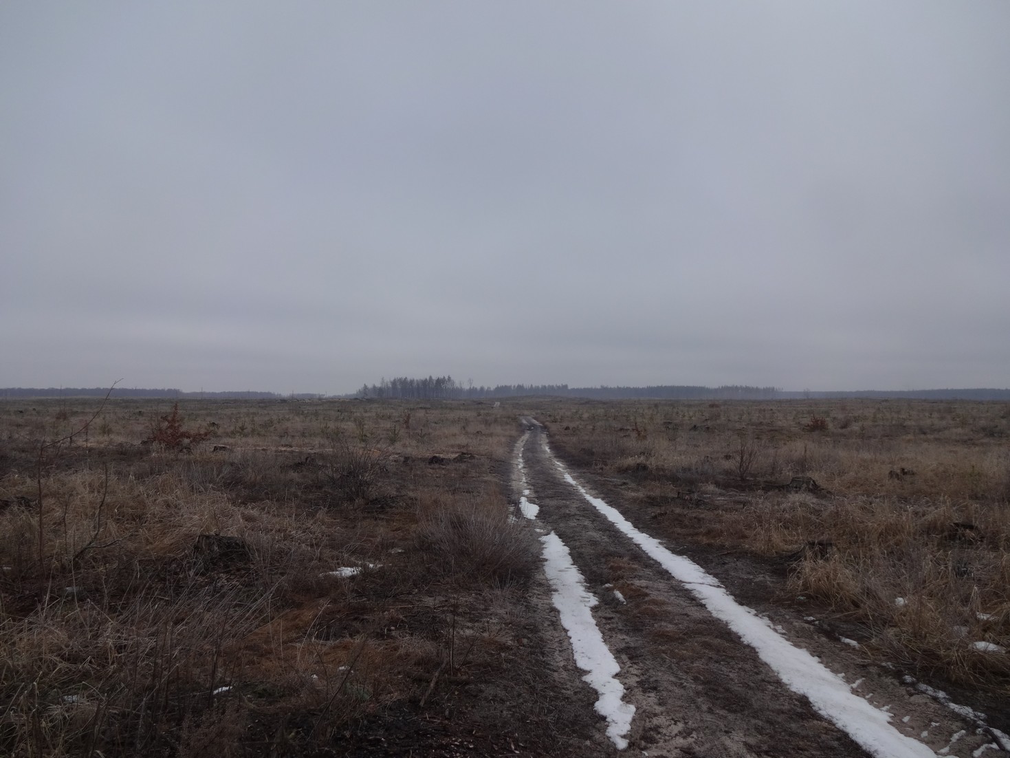 Гарь у Боровского кордона