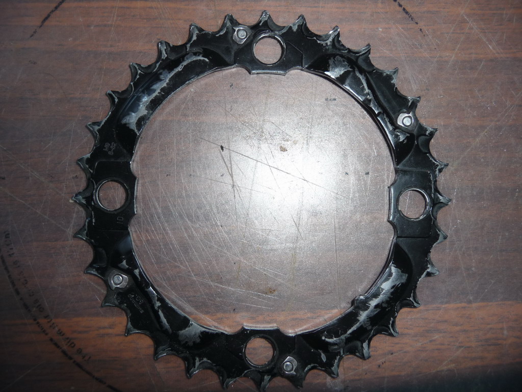 P1070055a.jpg