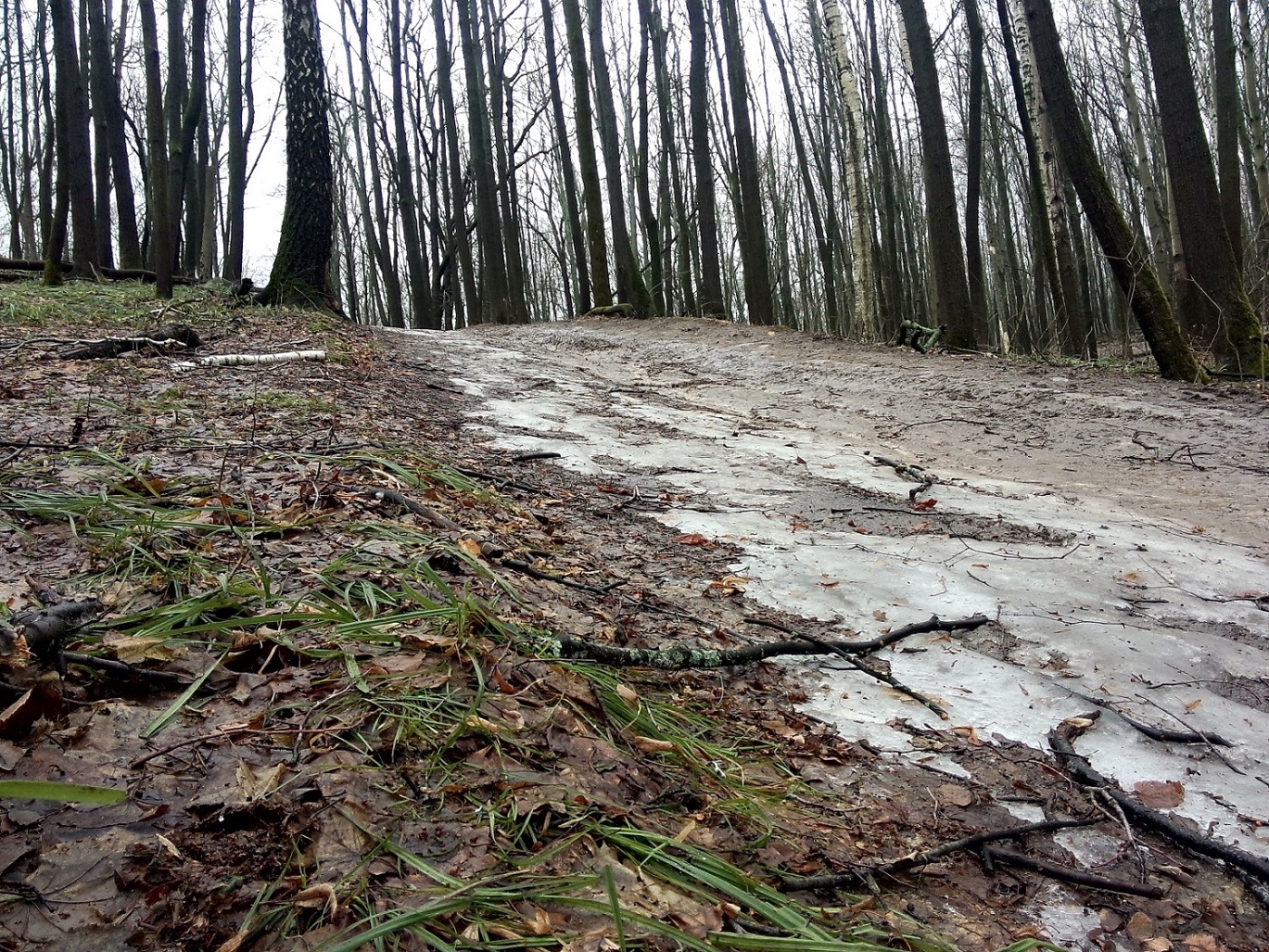 P60305-130317.jpg