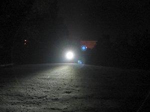Аврора макс.