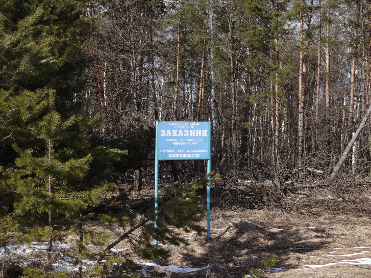 Въезд в заказник. Несмотря на заказность, в нём очень много лесозаготовок