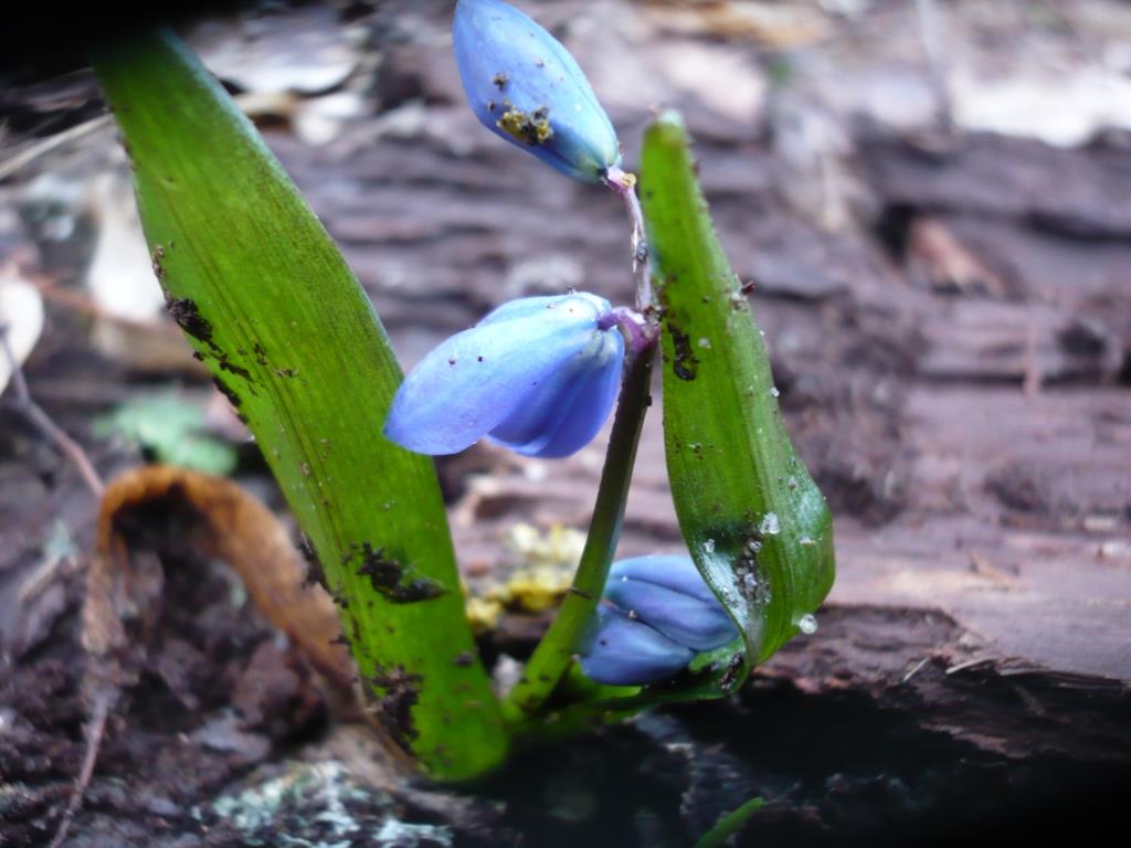 P1160403.JPG
