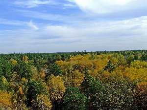 DSCF4728 копия.jpg