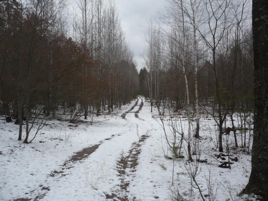 P1160437.JPG