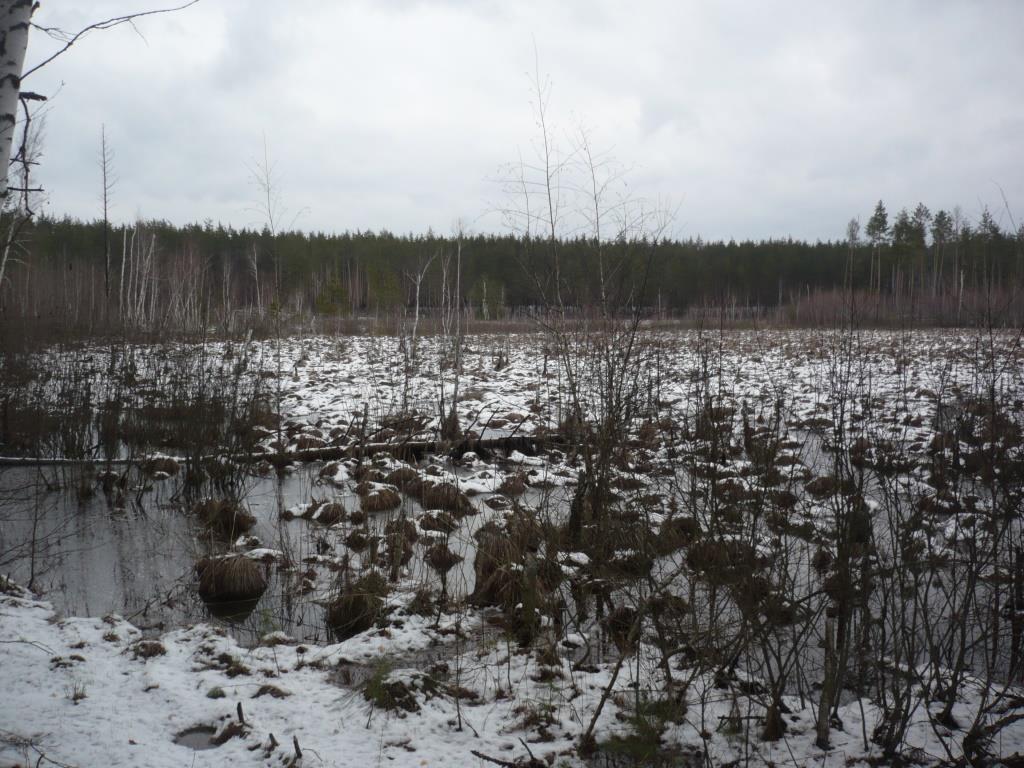 P1160453.JPG