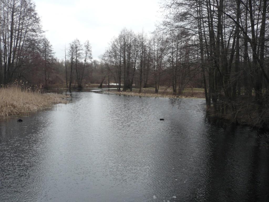 P1160494.JPG