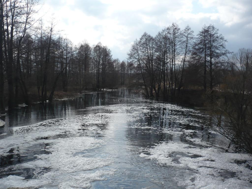 P1160516.JPG