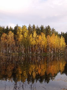 STA72386.jpg