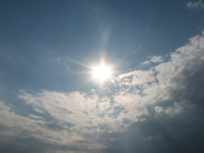 IMG_3353_resize.JPG
