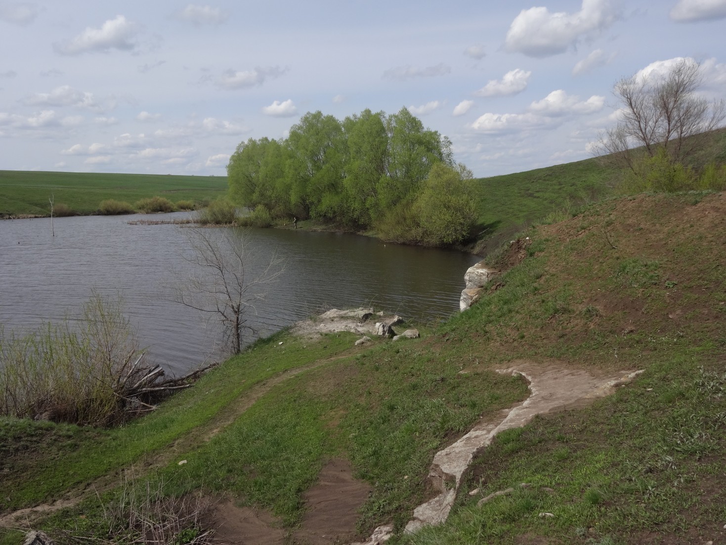 в балке Кругляк, выходы известняка на берегу пруда