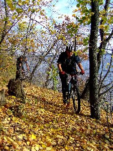 DSCF4778 копия.jpg