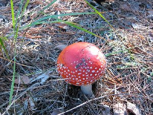 IMG_0821.jpg