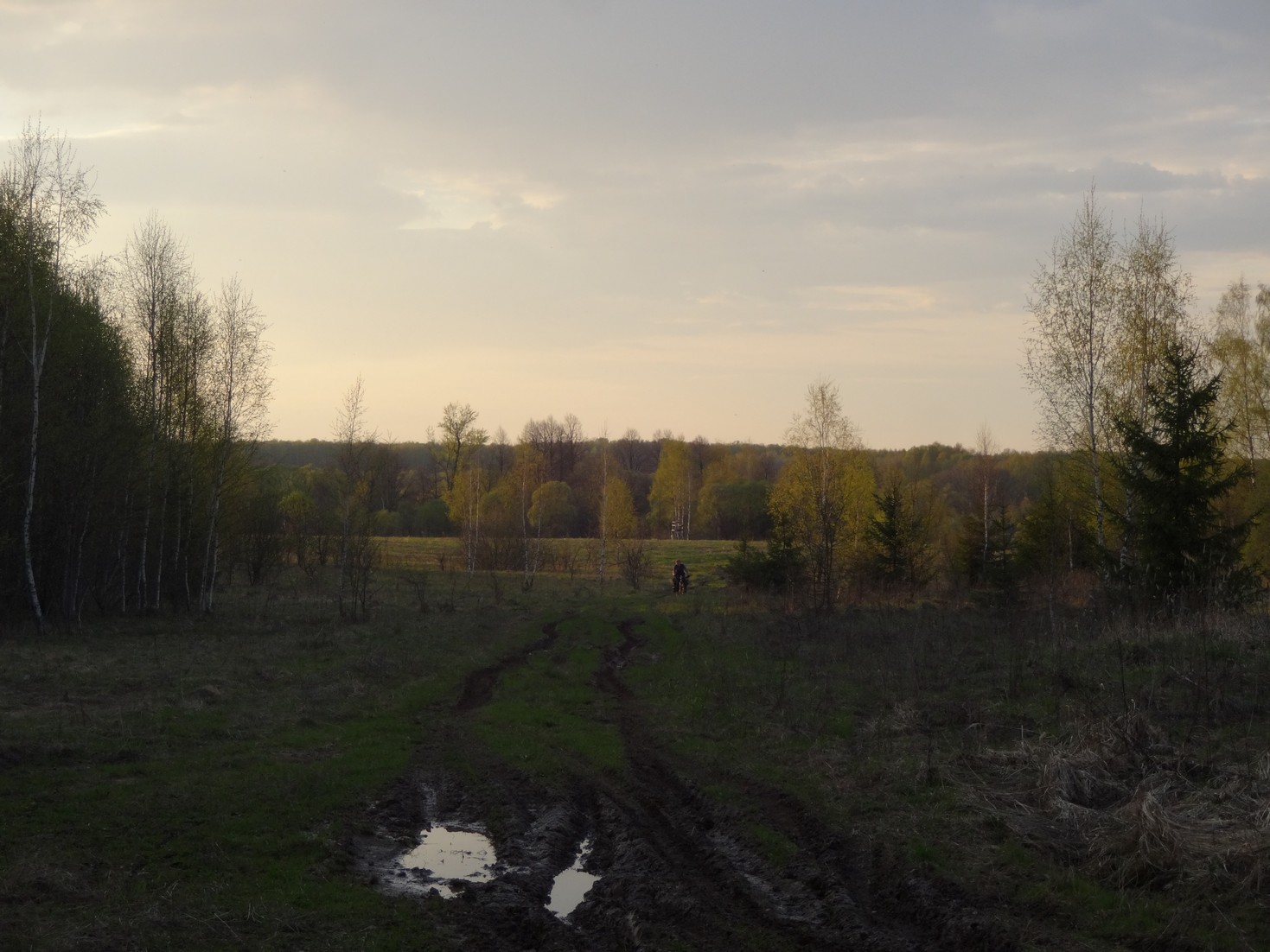 DSC03473.JPG