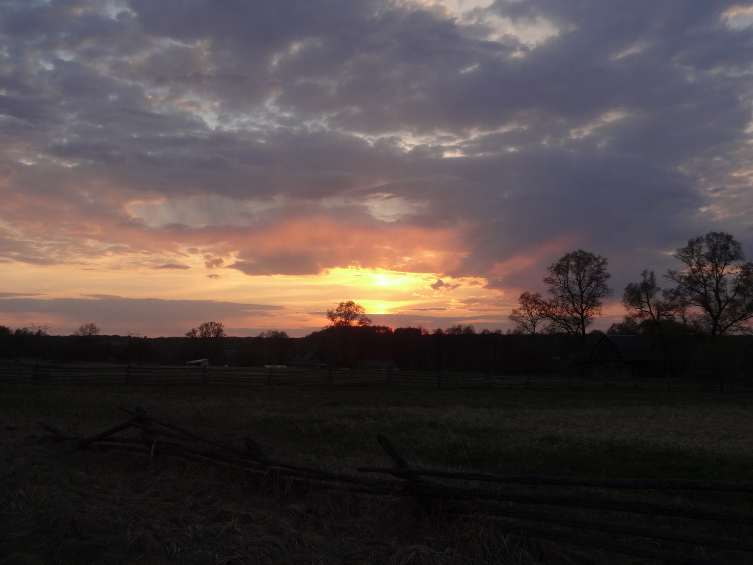 DSC03475.JPG