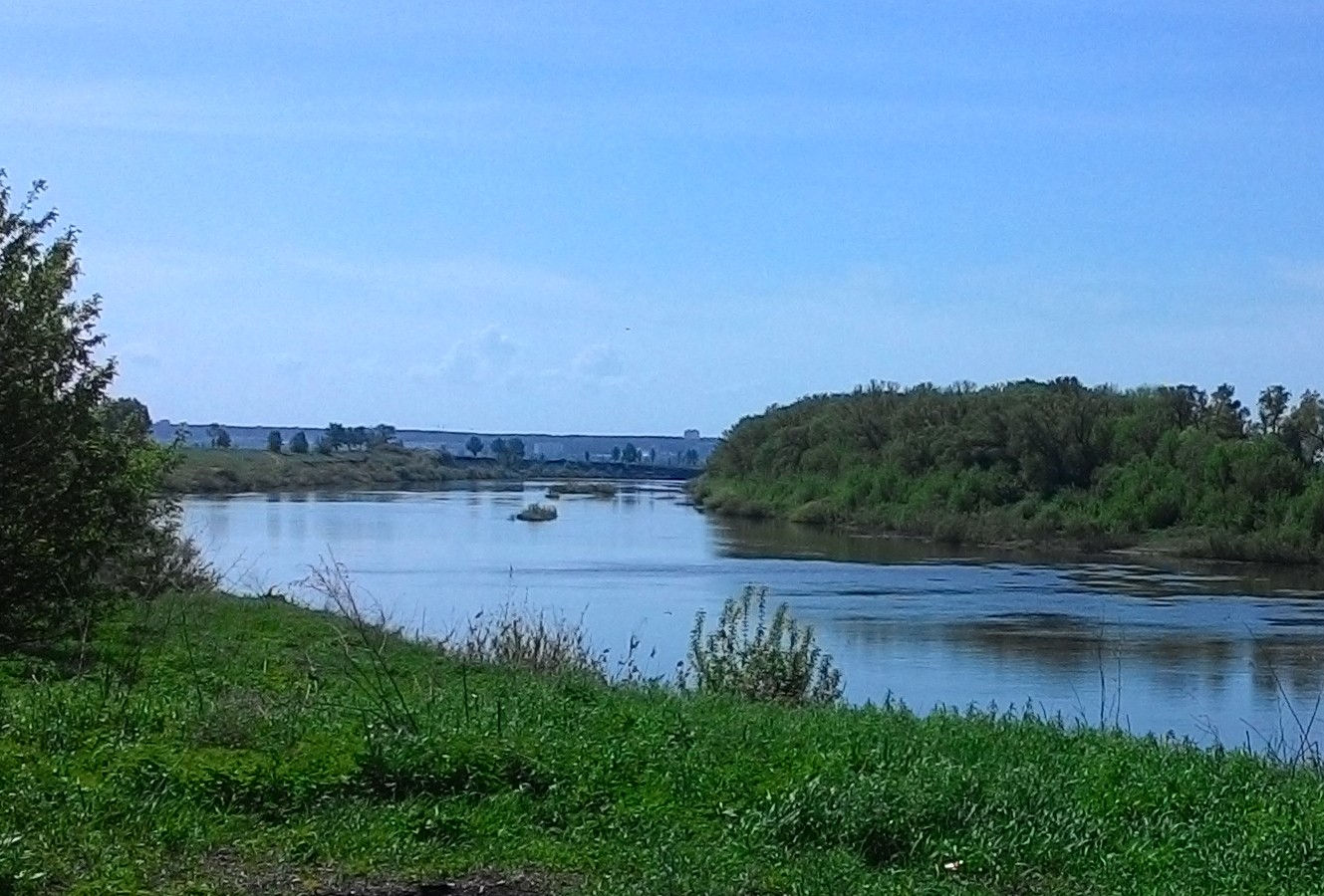 P_20160507_102655_.jpg