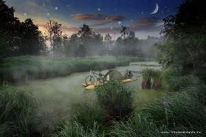 swamp.jpg