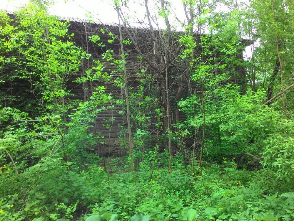 P_20160514_zz1.jpg