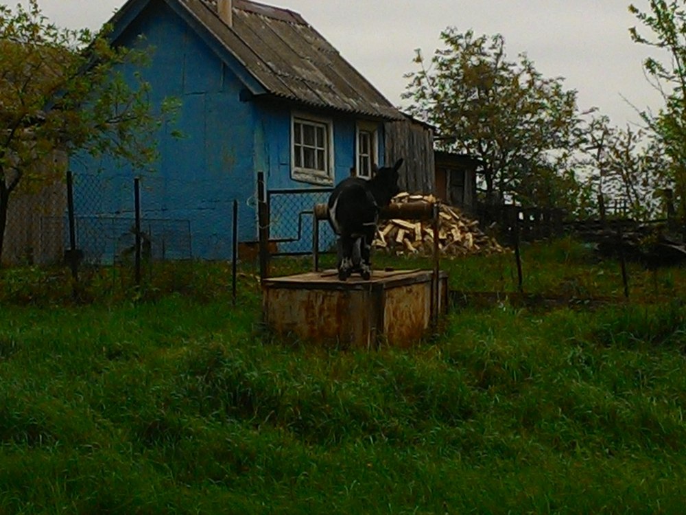 P_20160514_kol1.jpg
