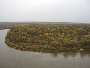 Клумбочка осени