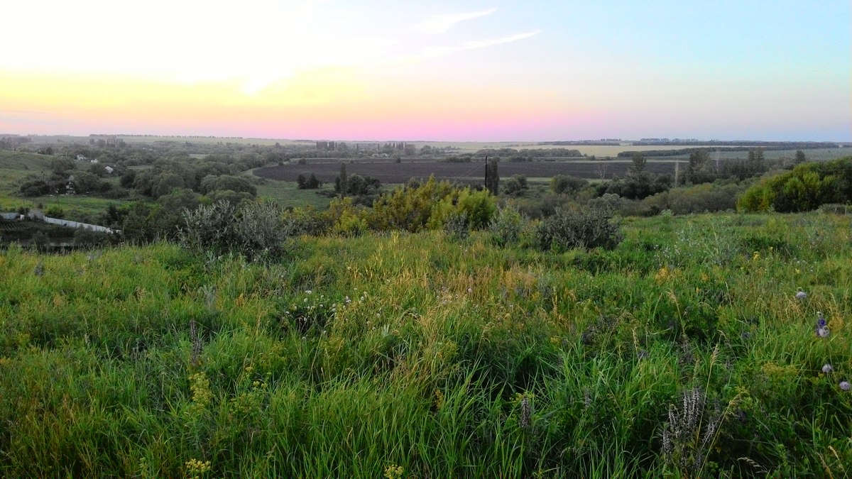 P_20160623_203121_.jpg