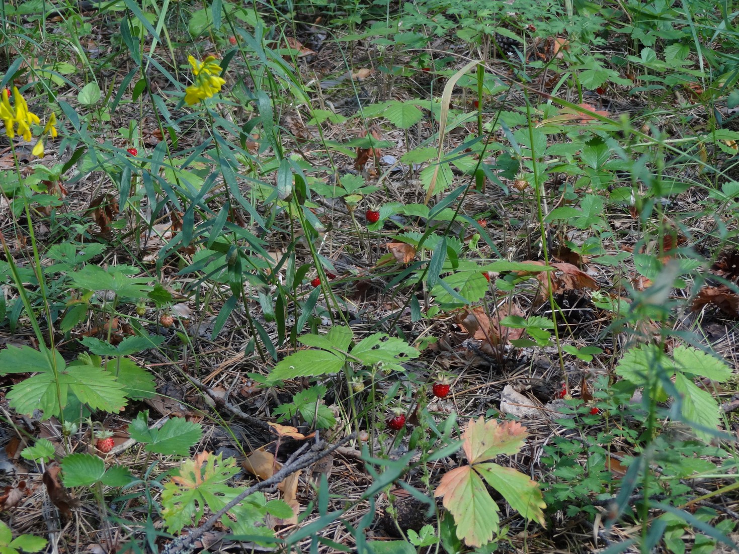 DSC03551.JPG