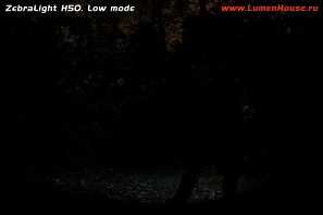 01.H50_low_resize.jpg