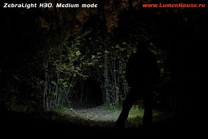 02.H30_medium_resize.jpg