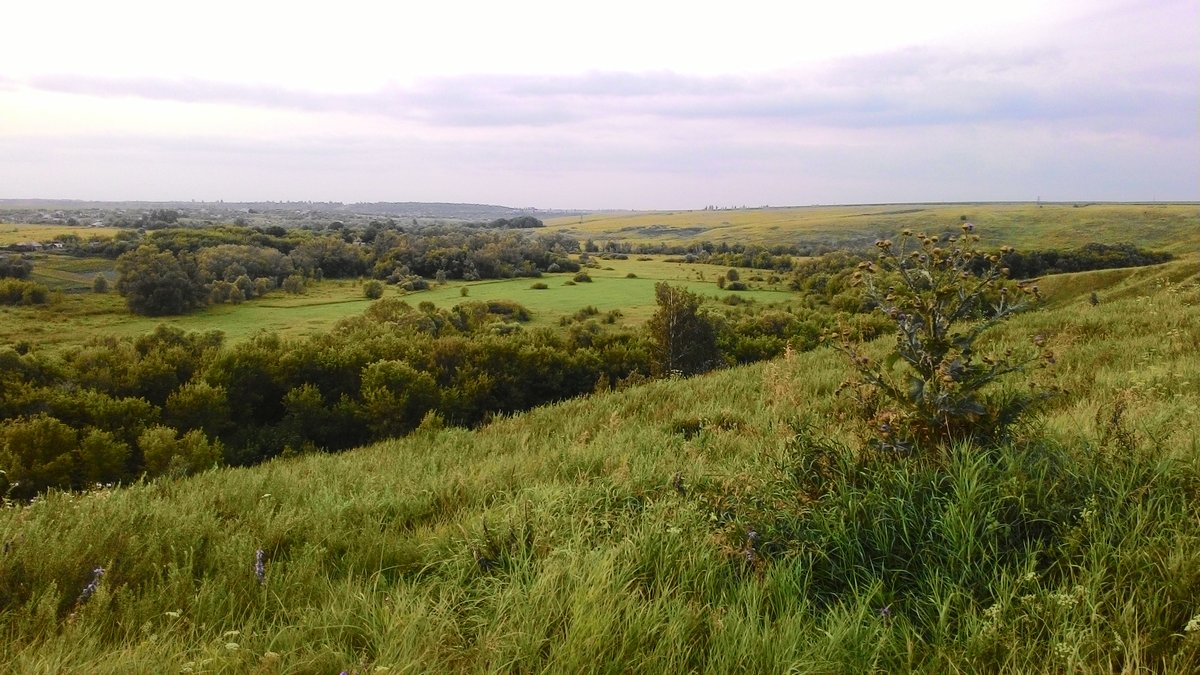 P_20160712_201537_.jpg