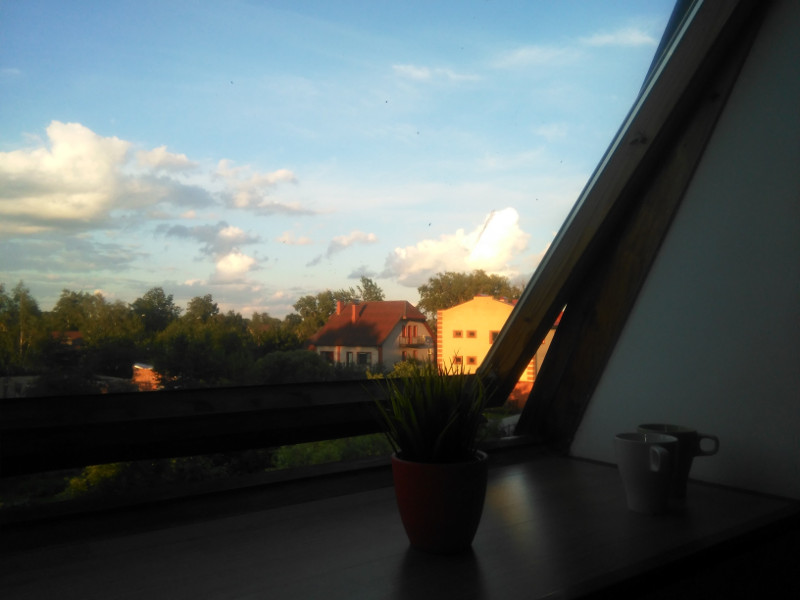 IMG_20160709_210152.jpg