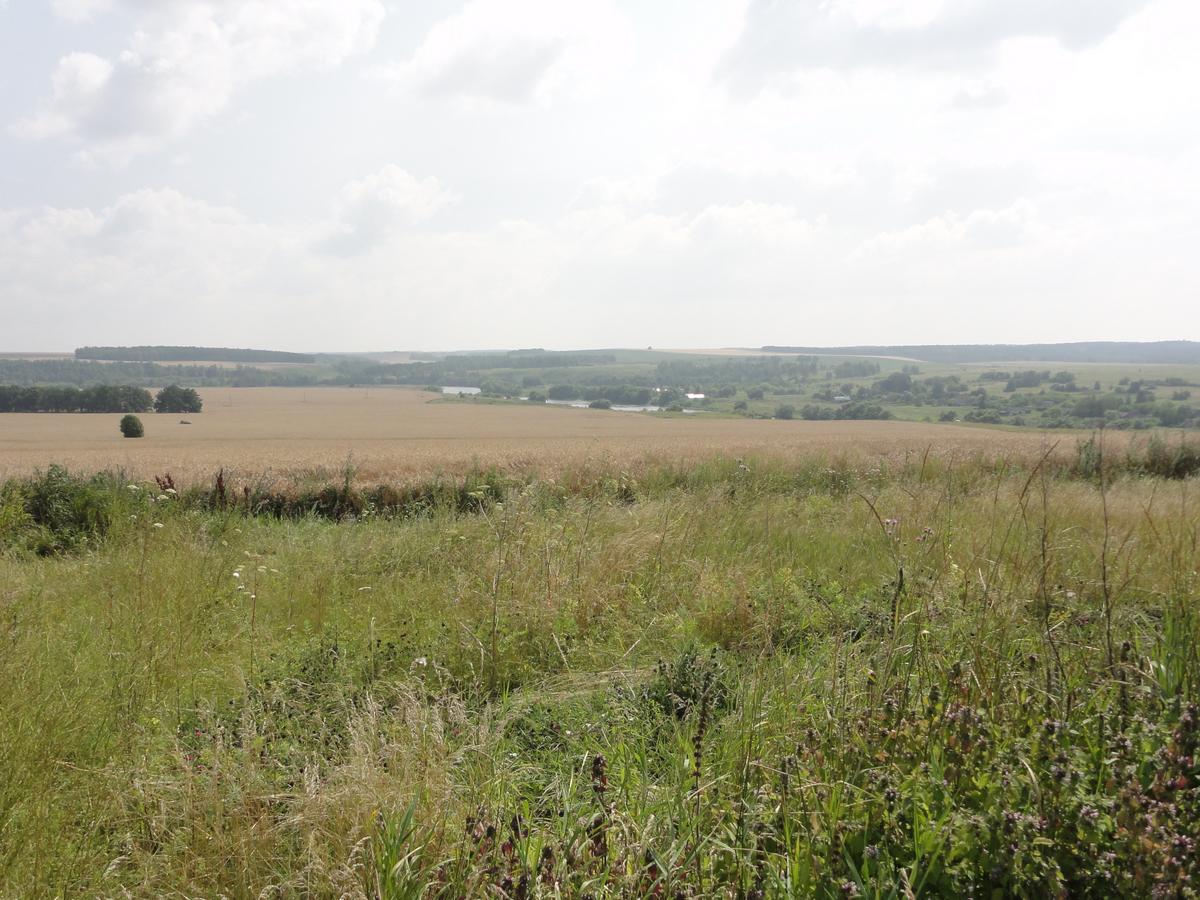 DSC07047_.jpg