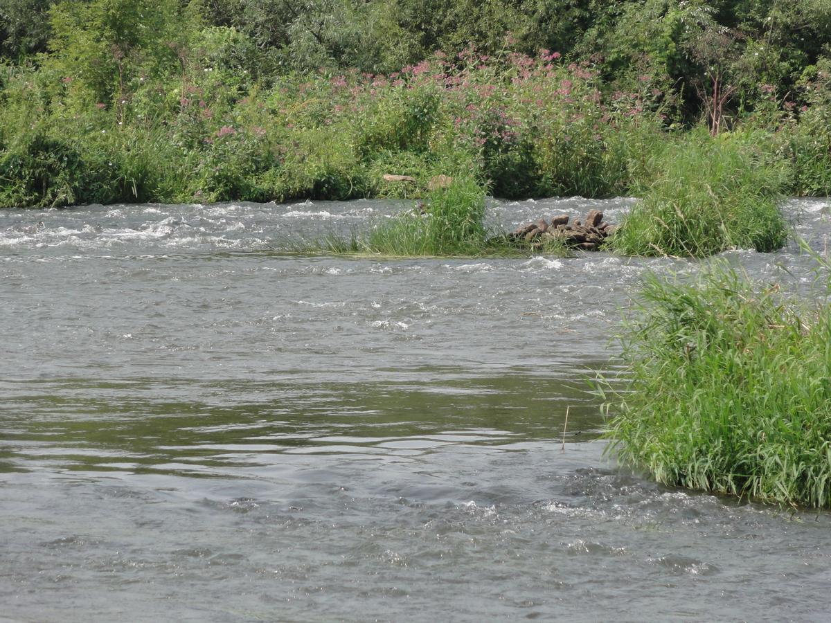 DSC07117_.jpg