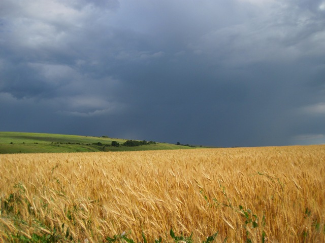 IMG_8813.JPG