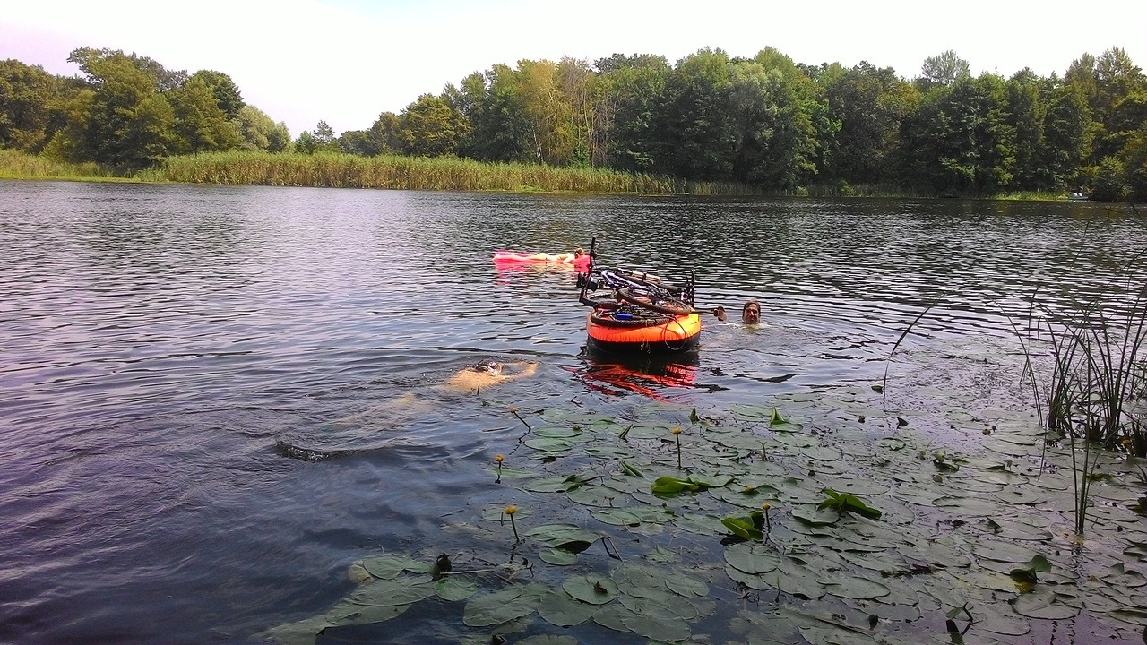 6swimming.jpg