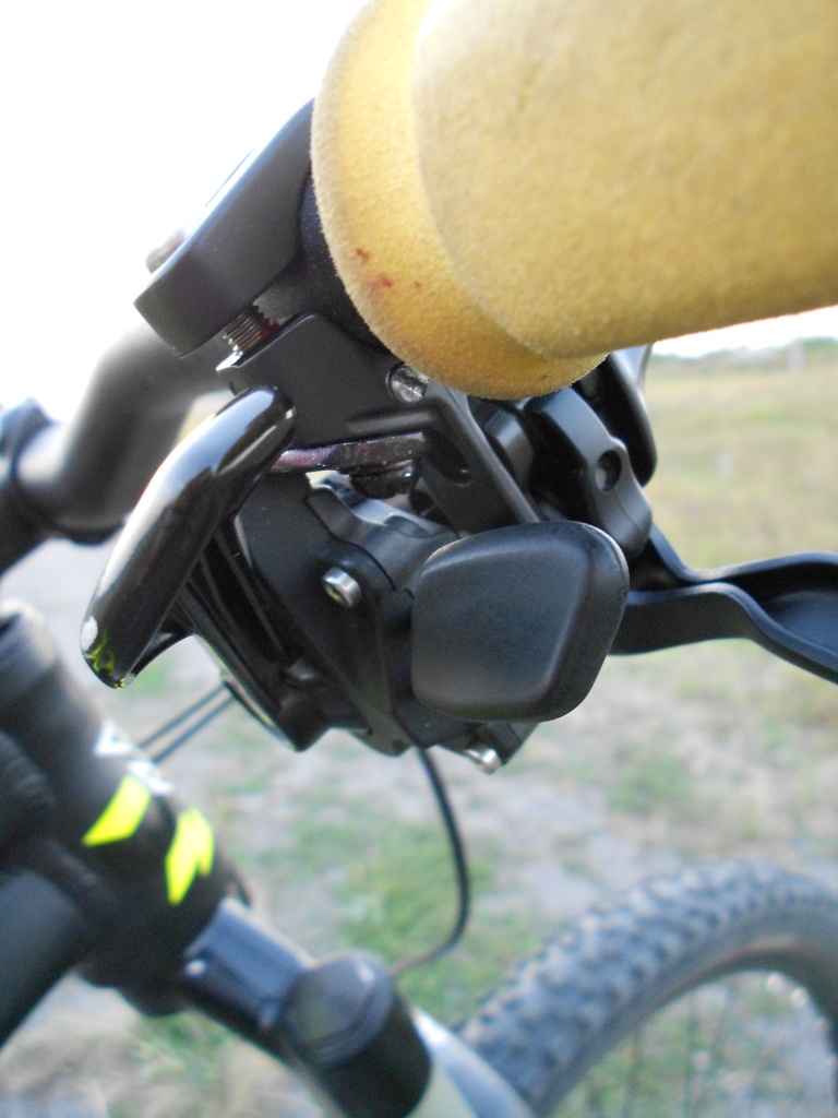 DSCN1225.jpg
