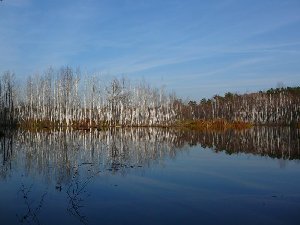 Всем известное Маклокское озеро