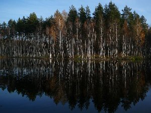ozero-m2.jpg