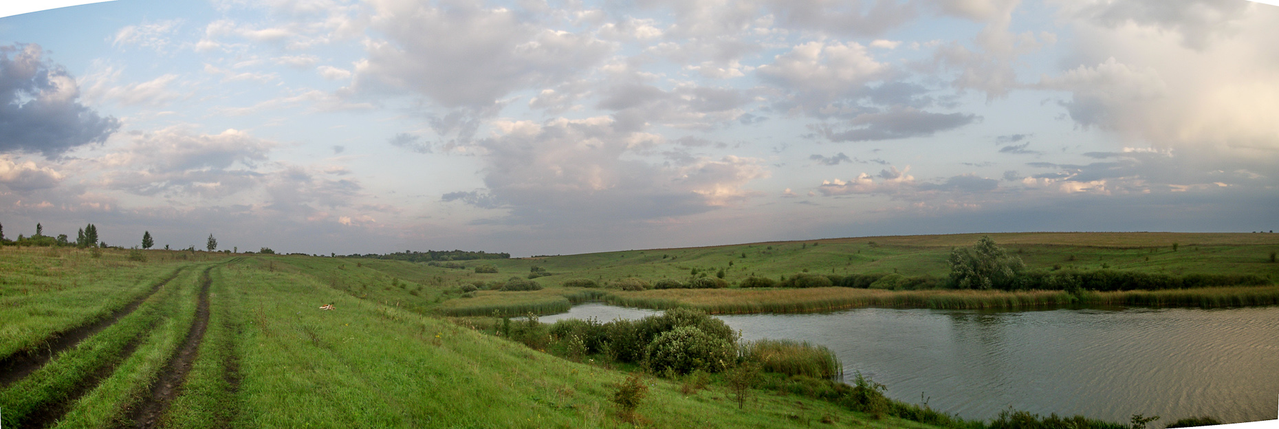 Stitched_023_a.jpg