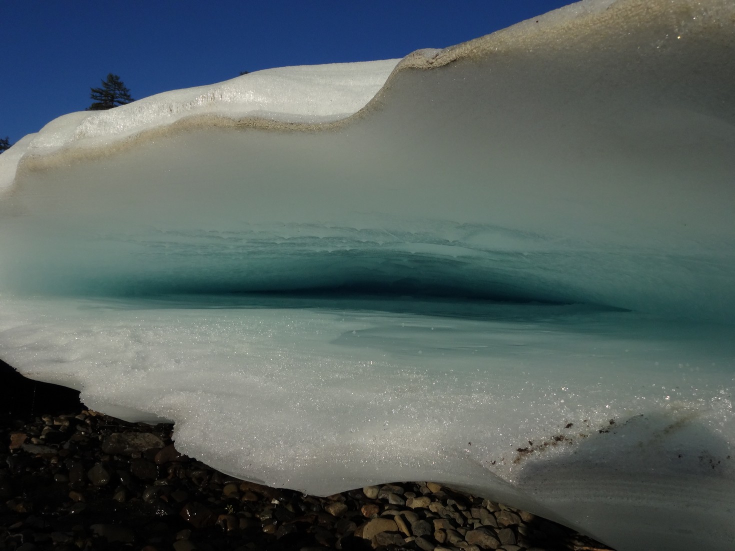 DSC04201.JPG