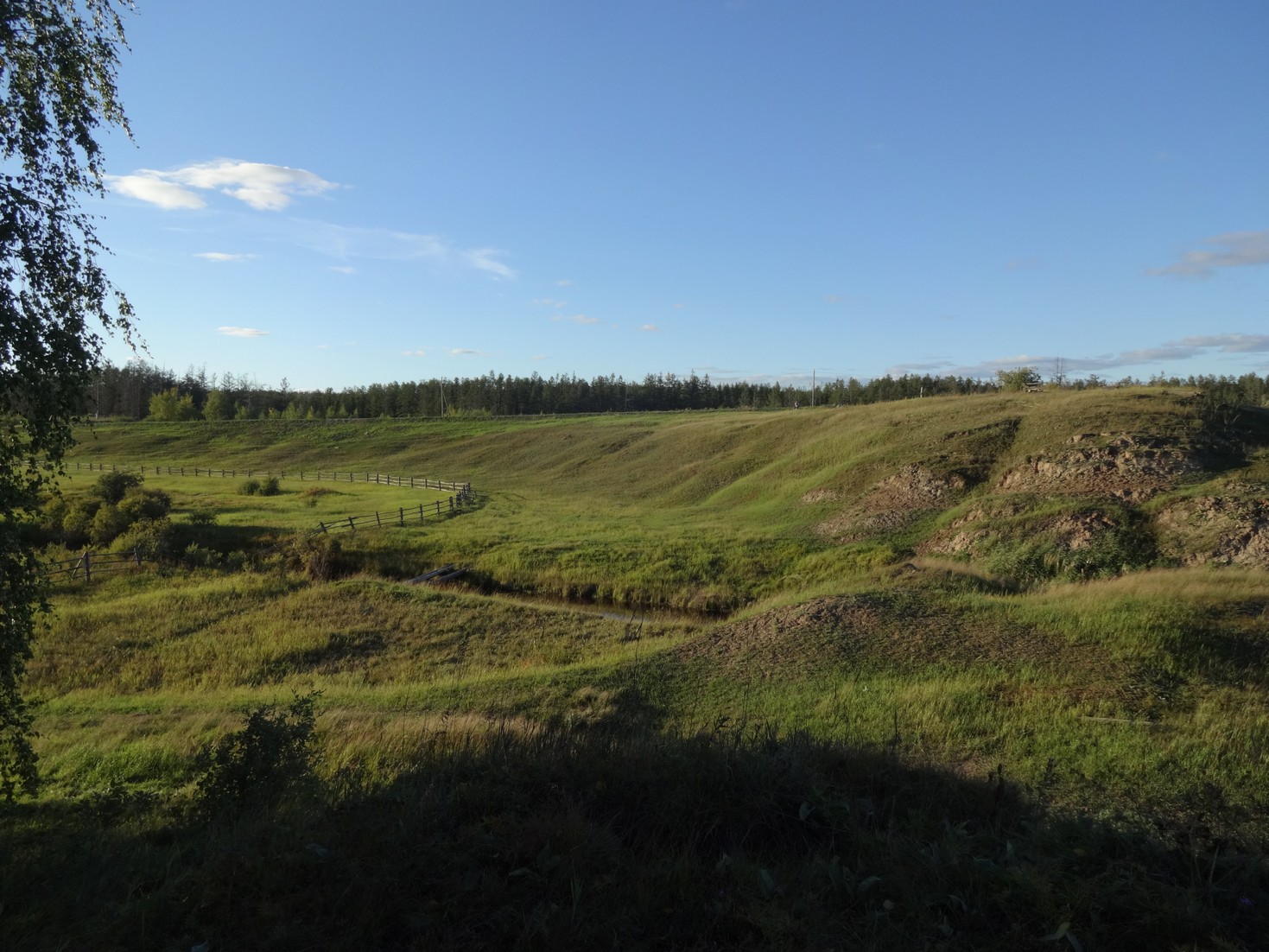 DSC04386.JPG