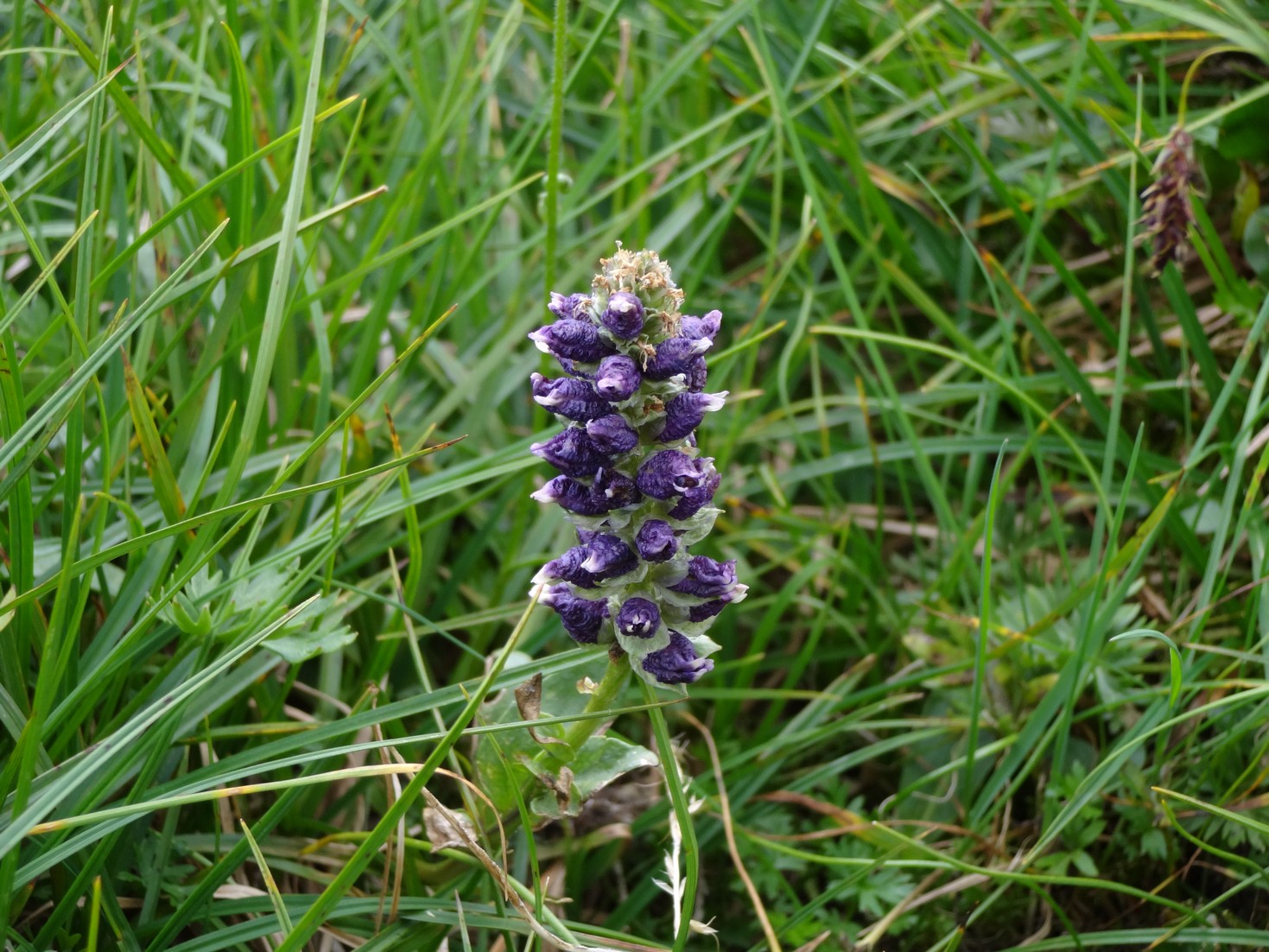 DSC03853.JPG