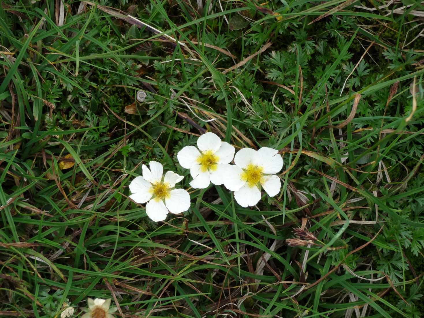 DSC03854.JPG